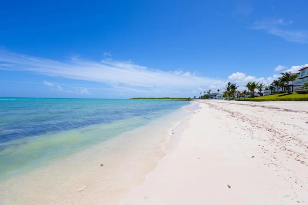 Punta Palmera's Premier Studio - Image 2