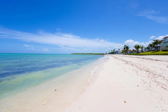 Punta Palmera's Premier Studio - Image 2