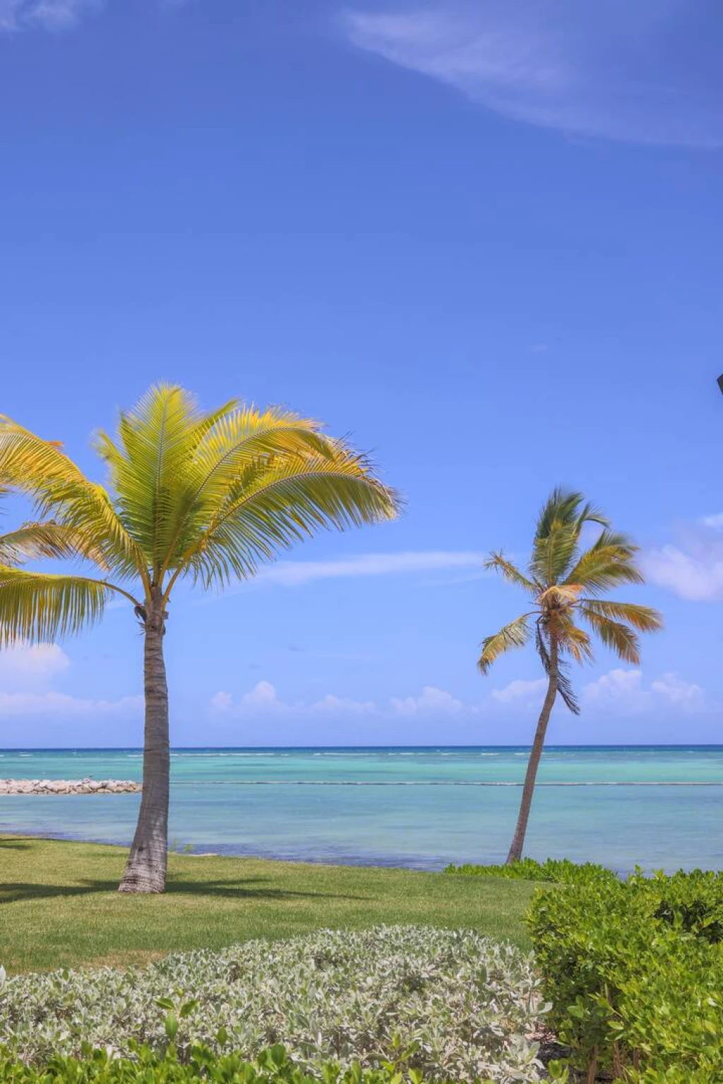 Punta Palmera's Premier Vacation Residence - Image 10